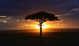 aventure au kenya