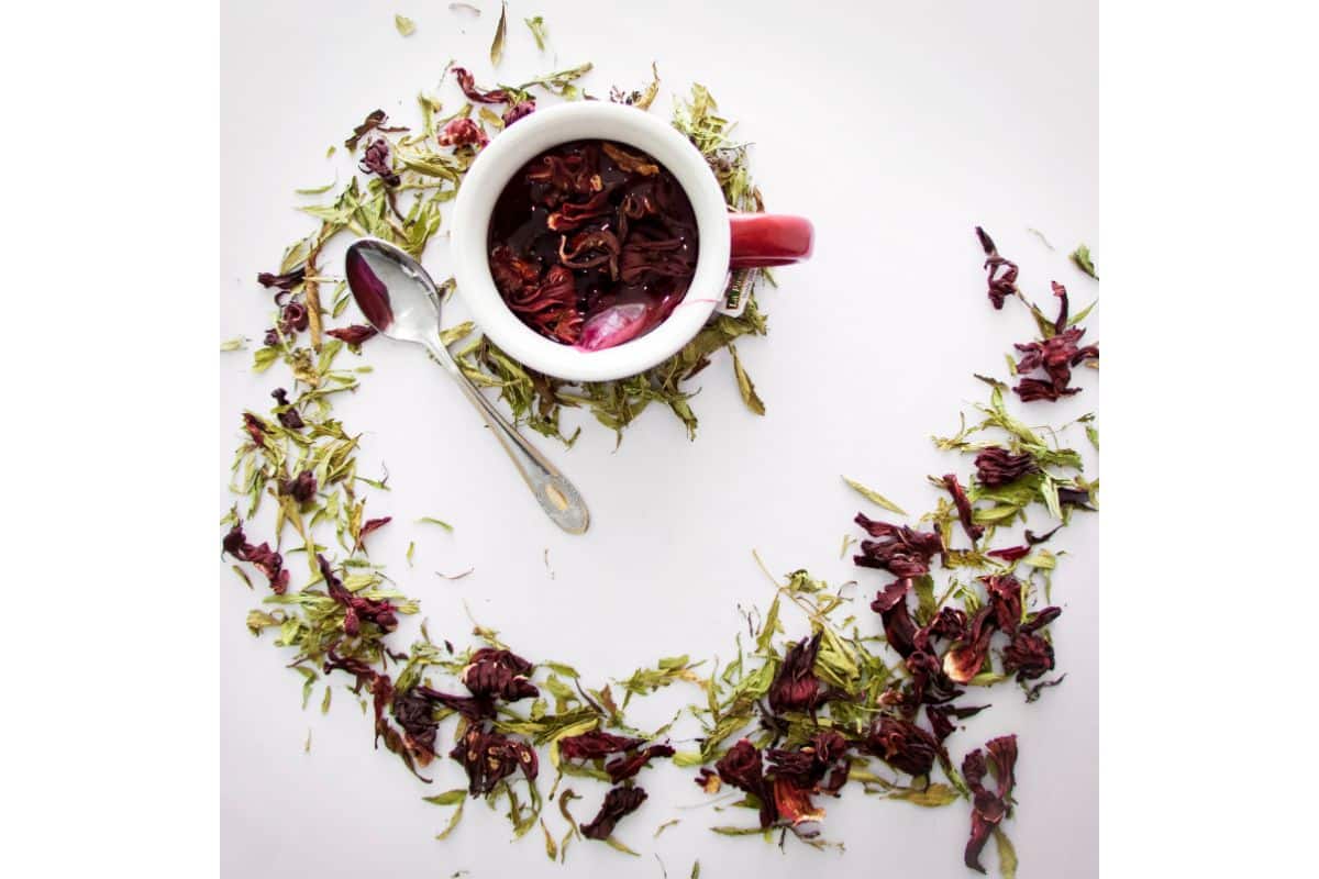 tisane plantes